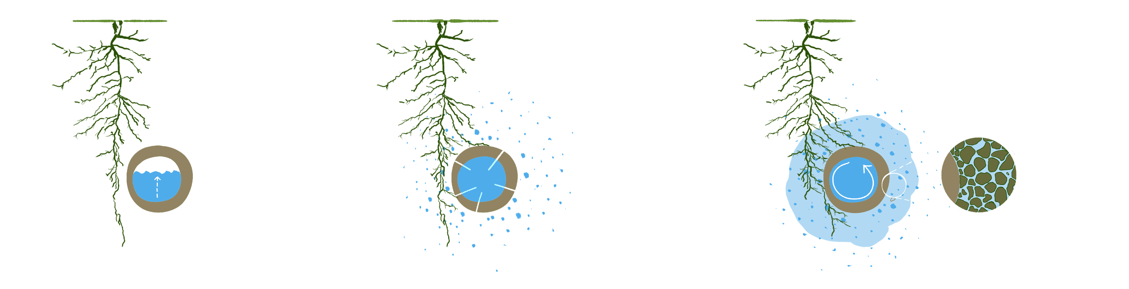 Capillary action illustration