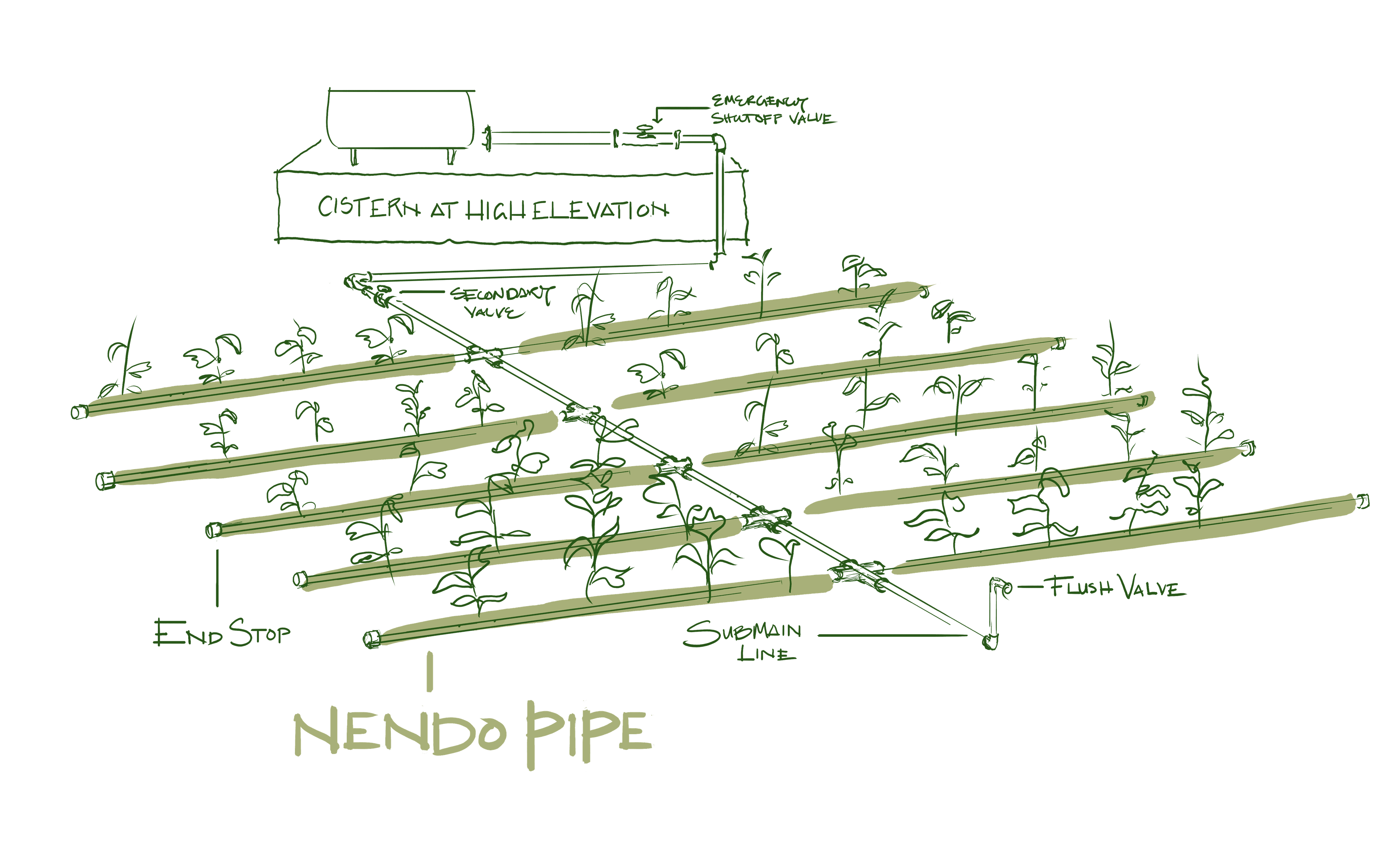 System Layout